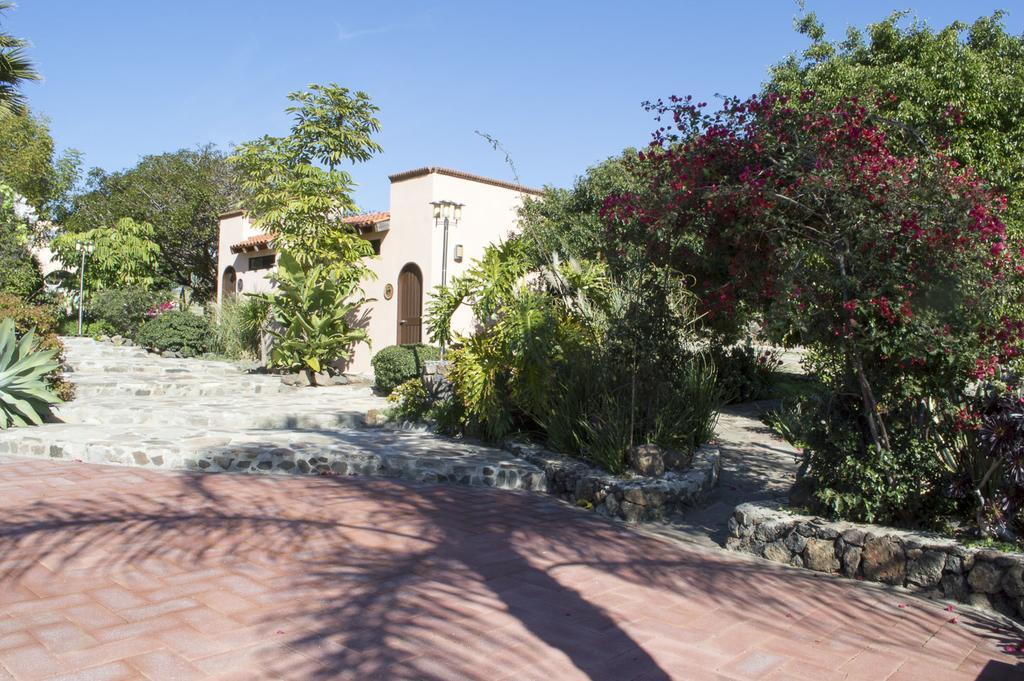 Quinta Santa Teresa Villa & Suites Ensenada Exterior photo